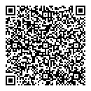 QR код "Выбор"