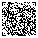 QR код "Арсенал"