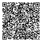 QR код "Глобус"
