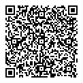 QR код "Мир"