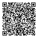 QR код "Мир"