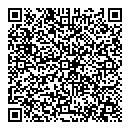 QR код "Динго"