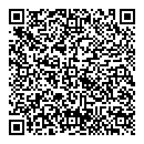 QR код "Ремикс"