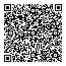 QR код "Звездный"
