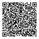 QR код "Силуэт"