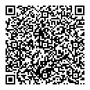 QR код "DS Motors"
