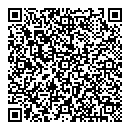 QR код "Молния"