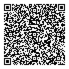 QR код "Домино"