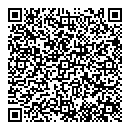 QR код "Гейша"