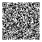 QR код "Синяя сова"