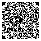 QR код "Frozen Solid"