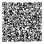 QR код "Divizion"