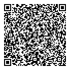 QR код "ДНС"