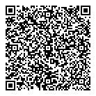 QR код "Галактика"
