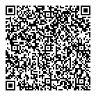 QR код "Звездный"