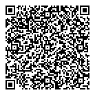 QR код "Арабески"