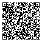 QR код "Тесла"