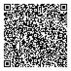 QR код "Метеорит"