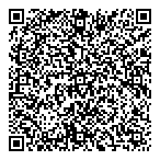 QR код "Метеорит"