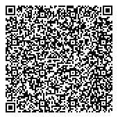 QR код "Профессиональный инструмент"