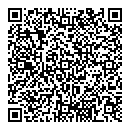 QR код "Bridge"