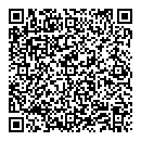 QR код "Diplomat"