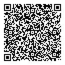 QR код "Lego"