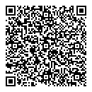 QR код "Домино"