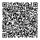 QR код "Little Star"