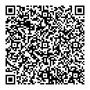 QR код "Дино"