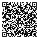 QR код "Лион"