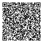 QR код "33 пингвина"