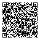 QR код "Мир"