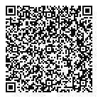 QR код "VINYLART.PRO"