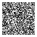 QR код "Art"