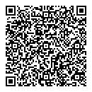 QR код "Black horse"