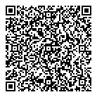 QR код "Авиатор"