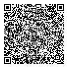 QR код "Глобус"