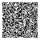 QR код "Мир"