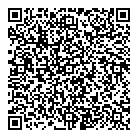 QR код "Феникс"