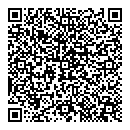 QR код "Давид"