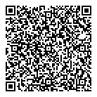 QR код "Метеорит"