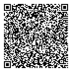 QR код "Спутник"