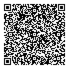 QR код "Аналог-оптим"