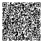 QR код "Альфа-Аудит"