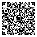 QR код "Фемида"