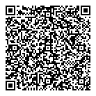QR код "Шайба"