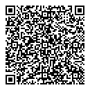 QR код "Nefertiti"