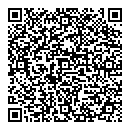 QR код "QIWI"