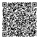 QR код "DiSale"